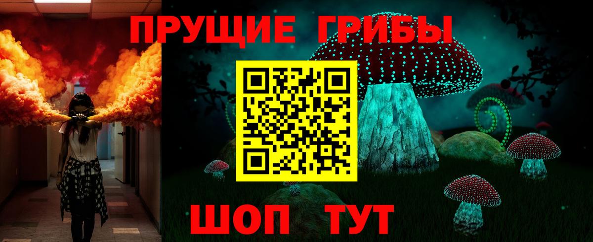 Галлюциногенные грибы Psilocybine cubensis  Вышний Волочёк 