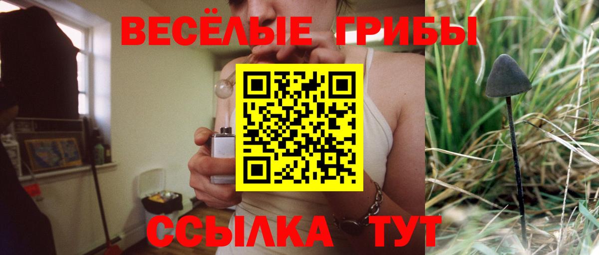 Галлюциногенные грибы Psilocybine cubensis Вышний Волочёк